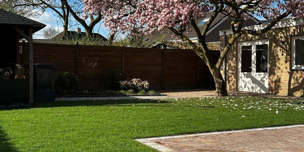 5a97b7b7-0117-4800-ab9b-7d310c802b98