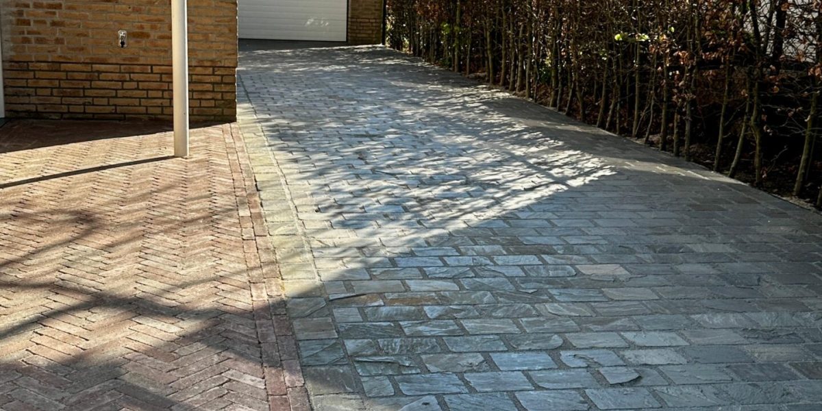 c23151de-2982-465c-8b75-8f437ad335d9